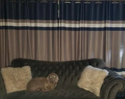 Alexander Stripe Light Filtering Window Curtain Panel Set