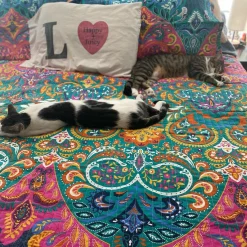 Boho Chic Quilt 3 Piece Set