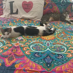 Boho Chic Quilt 3 Piece Set