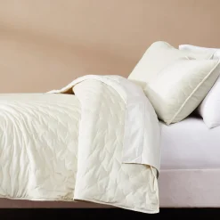 Haven Velvet Embroidered Stitch Cozy Super Soft Quilt 3 Piece Set