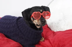 Soft Velvet Diamond Pintuck Oversized Comforter 3 Piece Set