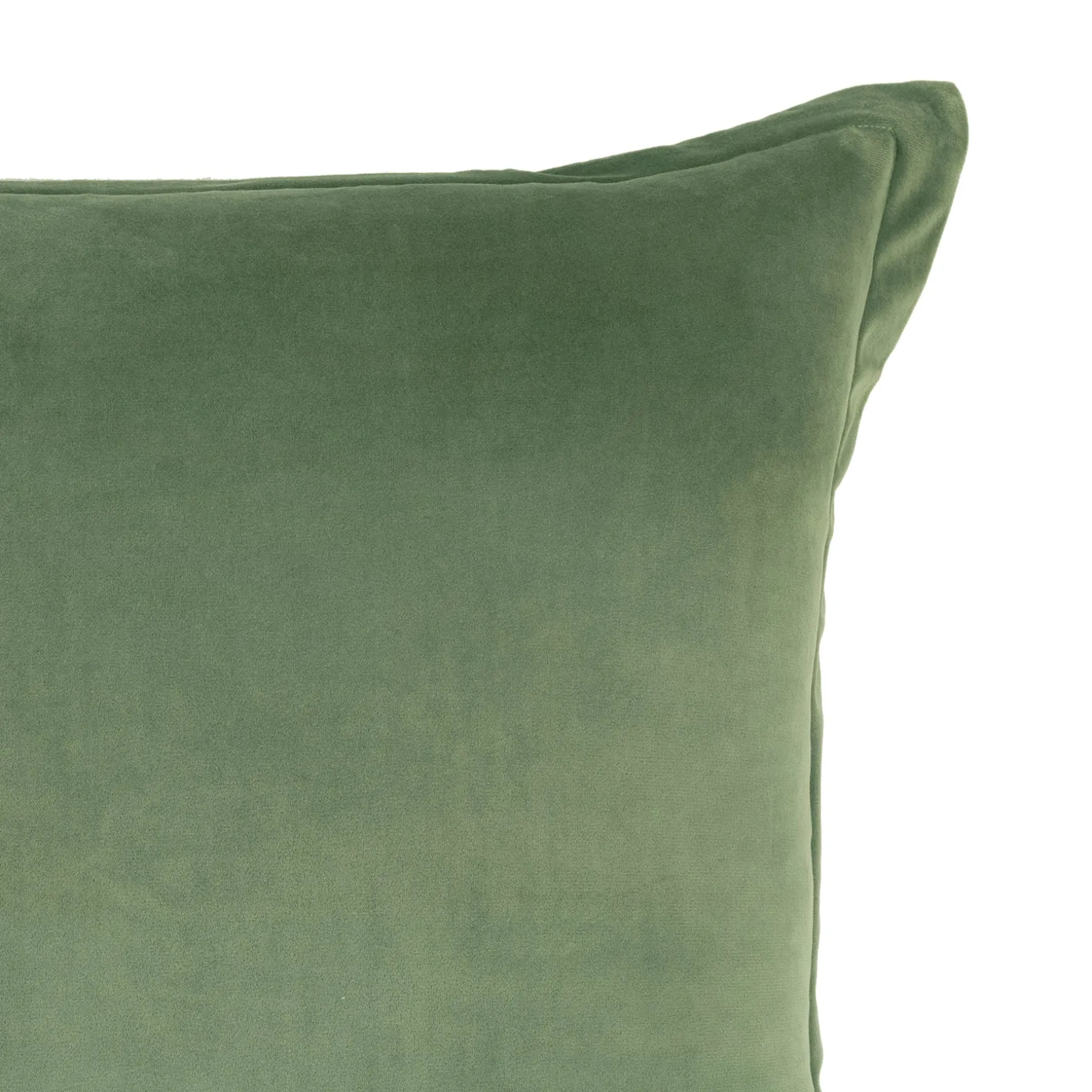 Velvet Dreams Euro Sham Cover 2 Piece Set